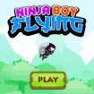 Ninja Boy Flying