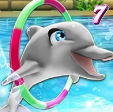 My dolphin show 7